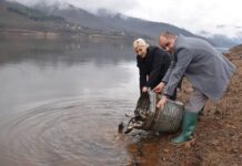 Акумулацијата „Стрежево“ порибена со 250 килограми крап