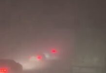 Снежна бура во Полска – граѓани затекнати на автопат, останаа заробени во своите автомобили/видео