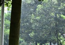 Сезонското вработување од 1 јануари регулирано со закон