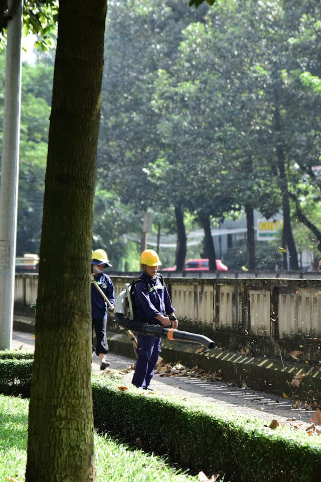 sezonski rabotnici pexels-soc-nang-d-ng-2150345854-35065162