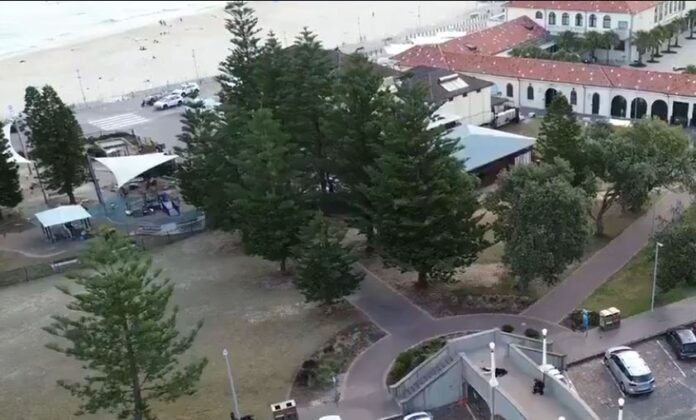 sidnej pukanje video