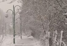 Зимата тропа на врата: Снег пред празниците!