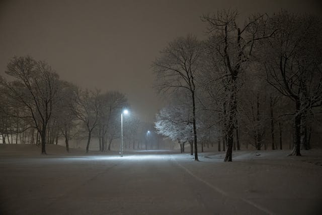 sneg nokna f pexels-david-kanigan-239927285-35202174