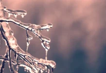 ДАЛЕКУ ОД ЗИМА НА ВЕКОТ: Попоски објави прогноза за зимата 2025/2026 во Македонија