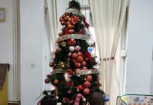 Кога елката не е само украс туку и дом, а мирисот на свежо печени колачиња семеен ритуал