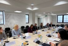 Од следната година, МЕПСО ќе стане полноправен член на Joint Allocation Office (JAO) – единствената европска платформа за аукции на прекугранични преносни капацитети