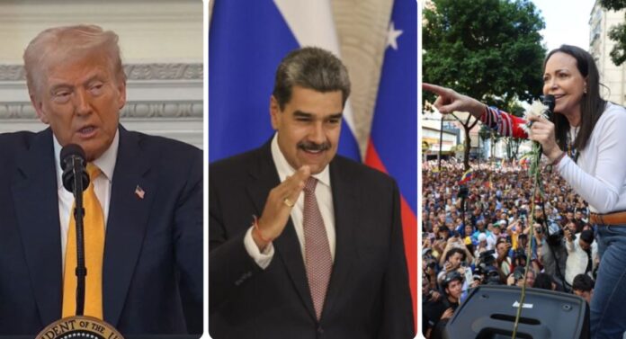 tramp maduro macado kolaz