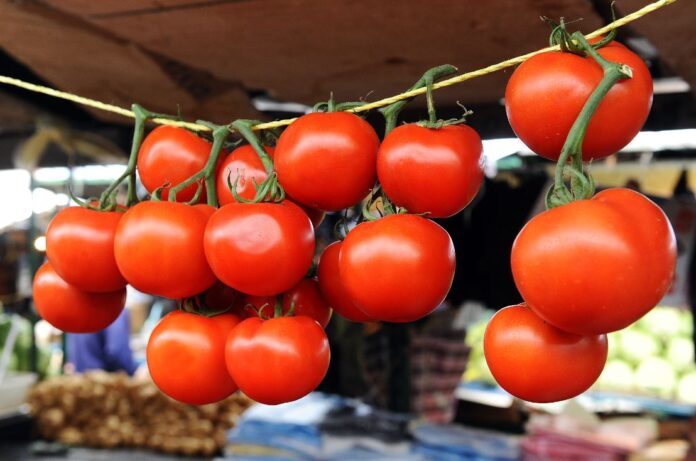 ------------------------------