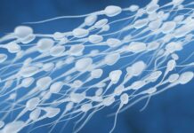 Од донирана сперма со ген за рак низ Европа родени речиси 200 деца, некои веќе починале