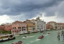 Ново гостин од „соседството“ во италијанските води: По делфинот Мимо, медитеранска фока е забележана во Венеција/видео