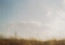 Променливо облачно со сончеви периоди, умерен ветер од северен правец вдолж Повардарието