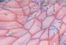 Откриен е хибриден сој на опасен вирус, експертите се загрижени