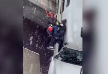 Возач на камион поминал часови висејќи од мост: Спасувачка акција со натчовечки напори/ВИДЕО