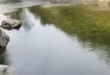 Патничко возило излета во Треска, нема повредени лица