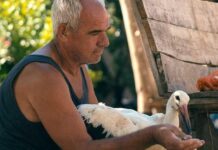 „Силјан” се врати дома за македонската премиера; На 4 јануари во МНТ проекција пред домашната публика