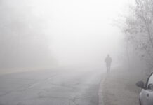 Чист воздух е можен дури и во котлина како Скопската: Како светски метрополи успеаа да „дишат“, и што можеме да научиме од нив!