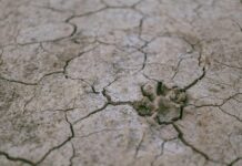 Разорен земјотрес од 7 степени ја погоди земјата со местоположба на границата помеѓу две тектонски плочи