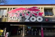 Малото гибонче Делфина доби ново живеалиште