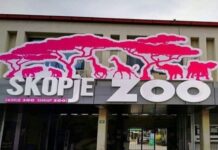 Ѓорѓиевски ќе ги подобрува условите во Градината, засега нема зголемување на цената на влезницата