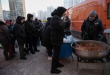 Во суровата зима, без струја и гас, Украинците му пркосат на студот спиејќи заедно со кучињата