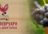 Натпревари во закројување винова лоза, избор на најдобрите вина и ракии и многу други настани