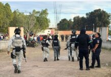 Вооружен напад на криминална група на фудбалски натпревар во Мексико, 11-мина убиени