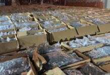 Голема полициска акција во Крушевац: Запленета дрога во вредност од околу 10 милиони евра