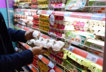 Не е само до јајцата, треба да поевтинат и другите производи