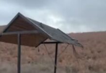 Украдени летниковците поставени на трим-патеката од Ајватовци до Бучинци