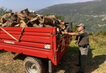 Шар Планина меѓу институционалните алибија и уништените шуми