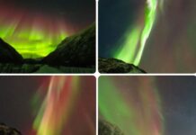 Што ја погоди Земјата во текот на ноќта?