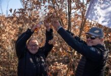 Бадникарите и годинава ќе покажат дека се доследни на она што го започнаа пред 33 години