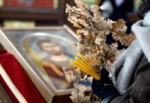 Се раѓа светлината на Божиќ – празникот на тивката молитва, семејната топлина и надежта