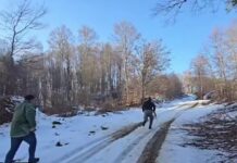 Дрвократството ни ја „краде“ природата, од Плачковица до Снеговските Ридови – пљачка без усул