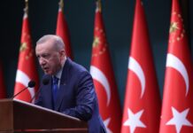 Ердоган: Турција е единствената држава што може директно да разговара и со Путин и со Зеленски