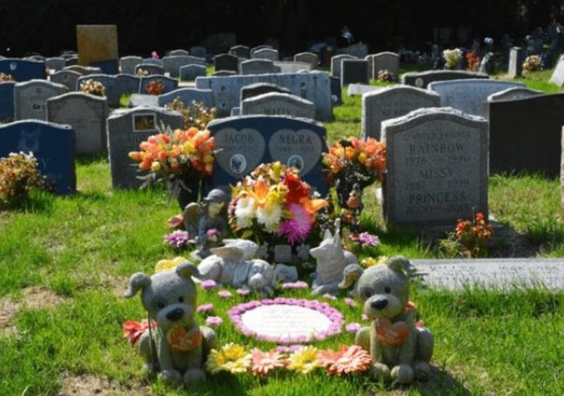 grobista za milenici