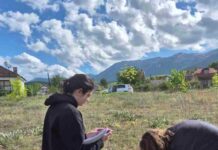 Диви растенија контаминирани со 19 различни пестициди