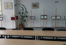 Изложба на дела на Јана и Филип, деца со аутистичен спектар во Штип