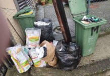 Ѓубрето во Скопје ќе се прелева од контејнерите до пролет, додека се чекаат новите камиони