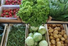 Општина Крива Паланка субвенционира сертифицирање локални производители на органска храна