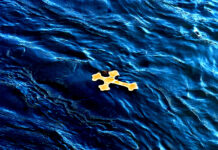 ПРОФ. Д-Р МАРКО КИТЕВСКИ: Водата што живот значи