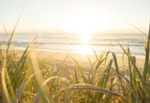 2025 година, третата најтопла година во историјата на мерењата, експертите предупредуваат: Најлошото допрва доаѓа