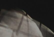 Четворица насилници тепале и силувале малолетничка во Неготино