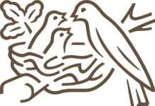 Нестле: Знаевме за токсинот во бебешката формула уште во ноември