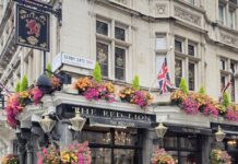 Крај на вековната култура: Пабовите исчезнуваат од Британија!