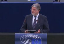 Пицула му одговори на Вучиќ: Делегацијата на ЕП не доаѓа непоканета