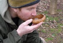 Водата од кората на ова дрво е најмоќниот „пролетен еликсир“ – инфузија што ќе го подмлади и умот и телото/ВИДЕО