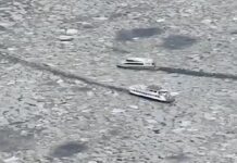 Нереални сцени од Њујорк – санти мраз пловат по реката Хадсон: Студот одзеде најмалку 50 животи во САД/ВИДЕО