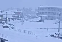 Снег во „српскиот Сибир“ речиси половина метар – механизацијата не може да стигне до теренот поради магла!