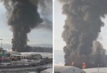 Стравична несреќа на автопат во Словенија: Експлодираше цистерна/ВИДЕО